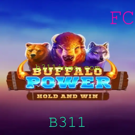 BuffaloPower – Um Mergulho Aventureiro no Mundo de B311